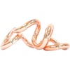 image:imageTangle Palm Metallic 2Pack Steel Silver and Rose Gold